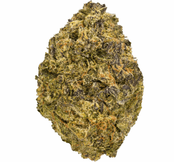 White Runtz Strain
