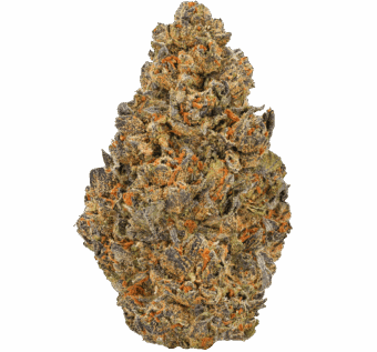White Runtz Strain