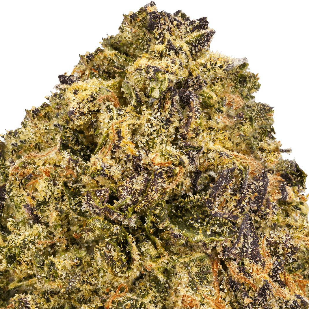 White Runtz Strain