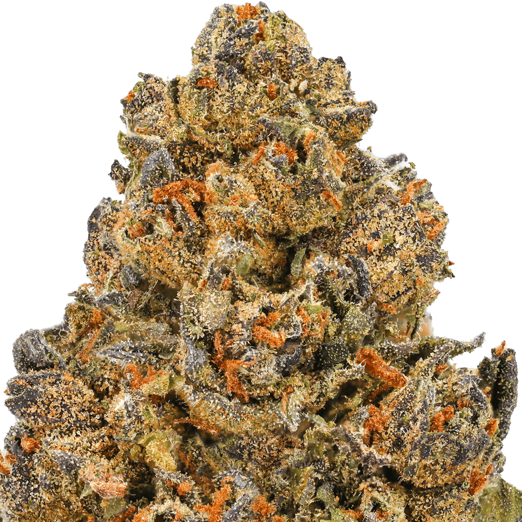 White Runtz Strain