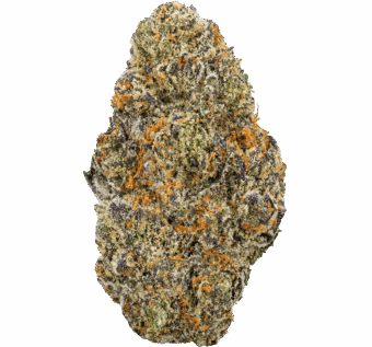 Black Cherry Soda Strain