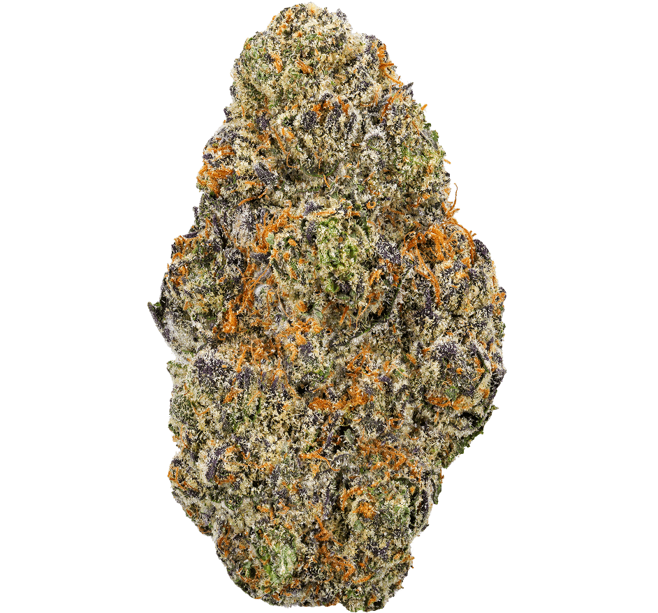 Black-Cherry-Soda-Strain (1) Black Cherry Soda Strain