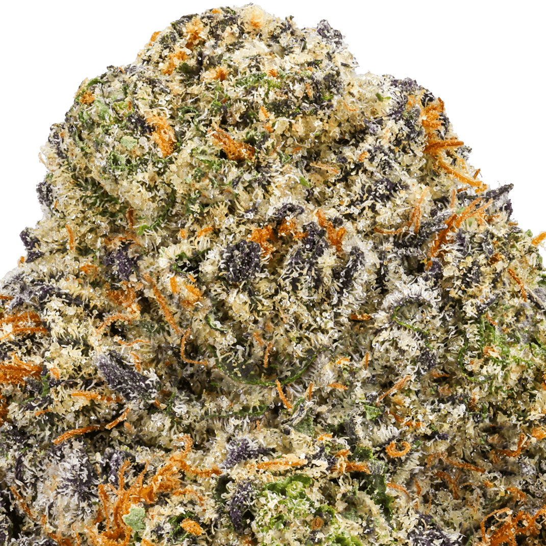 Black-Cherry-Soda-Strain-Macro (1) Black Cherry Soda Strain
