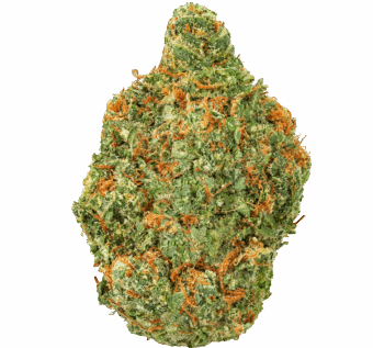 Black Garlic Gelato Strain