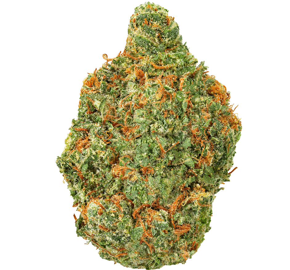 Black Garlic Gelato Strain