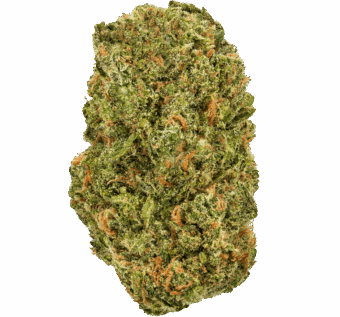 Blue Dream Strain