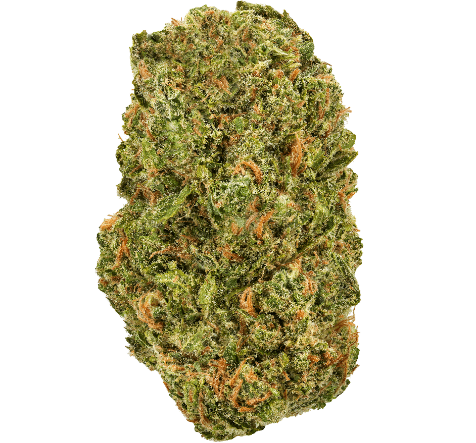 Blue Dream Strain