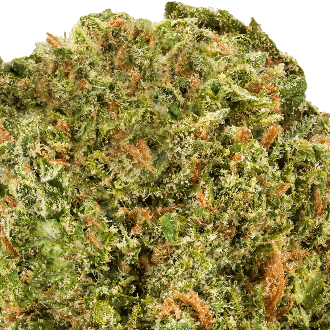 Blue Dream Strain