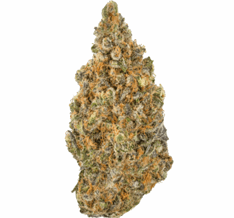Blueberry Muffin Strain