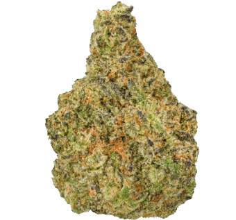 Blueberry Skunk Strain