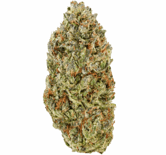 Bubblegum strain