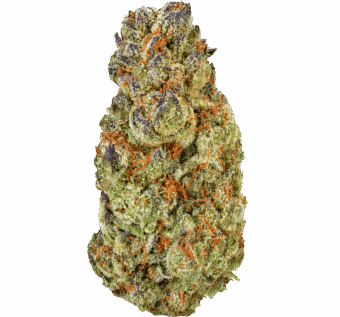 Cherry Cake Strain
