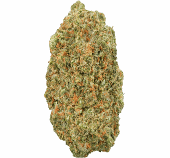 Cherry Slimeade Strain