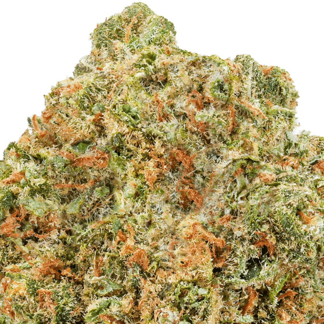 Cherry Slimeade Strain