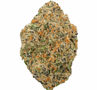Chimera Strain