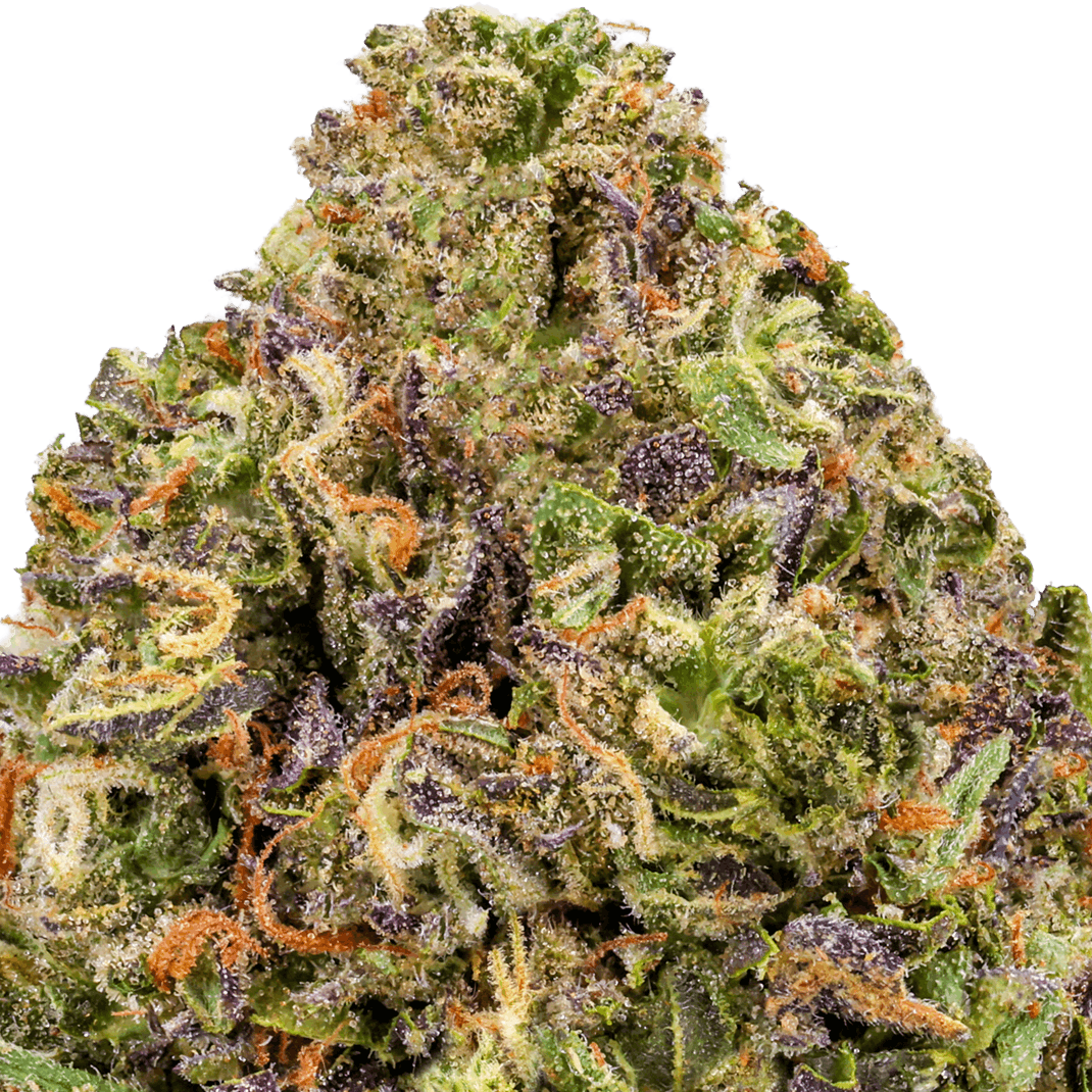 Designer Runtz Strain