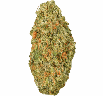 Double-Runtz-Strain (1) Double Runtz Strain