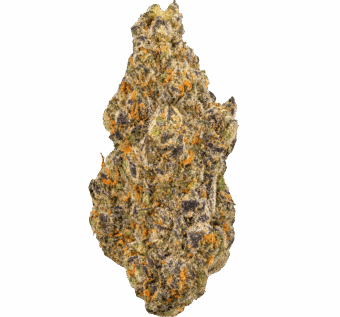 Gas Face Strain