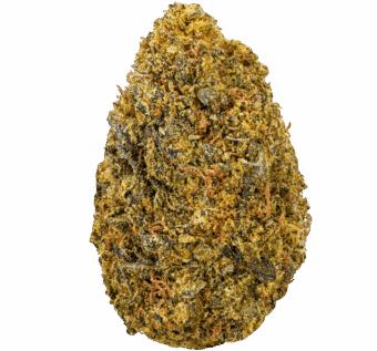 Gelato 41 Strain