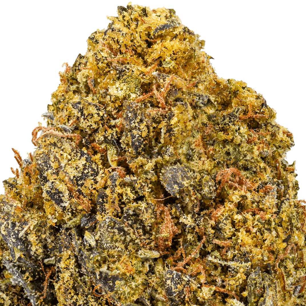 Gelato-41-Strain-Macro (1) Gelato 41 Strain