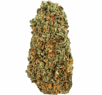 Gelato-Strain (1) Gelato Strain
