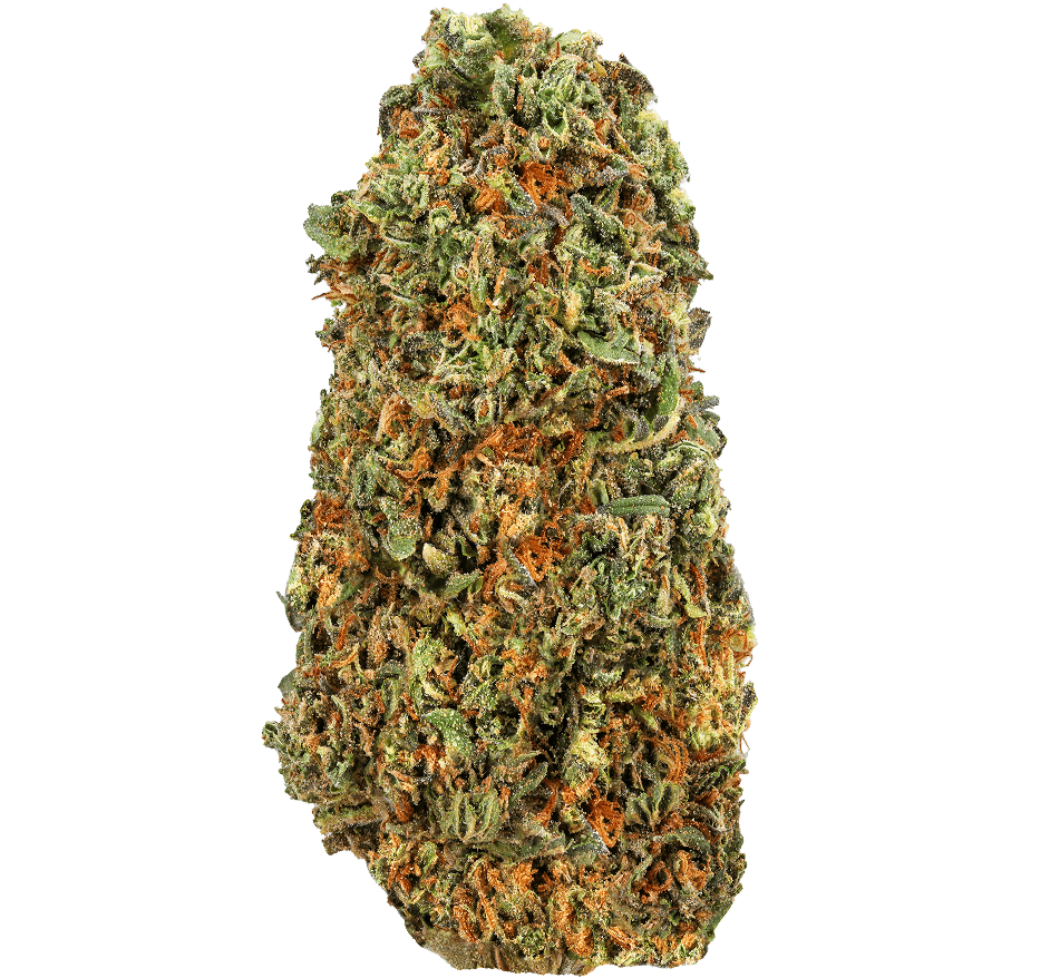 Gelato-Strain (1) Gelato Strain