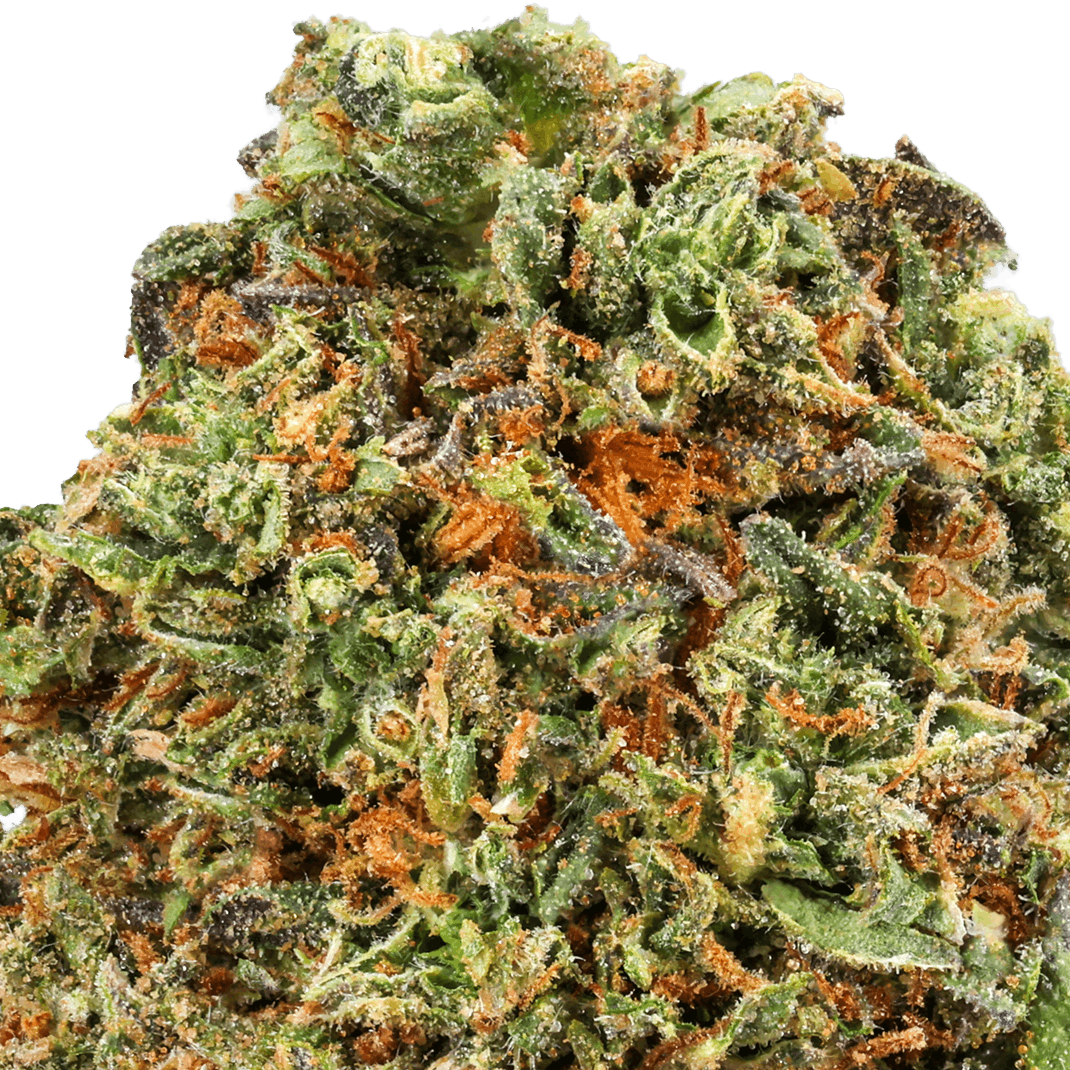Gelato-Strain-Macro (1) Gelato Strain