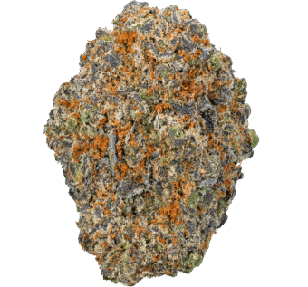 Grape Cream Cake Strain