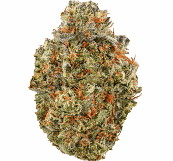 High Octane Strain