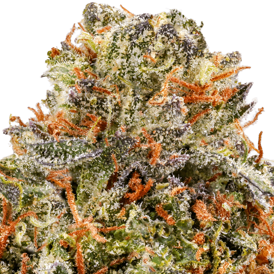 High Octane Strain