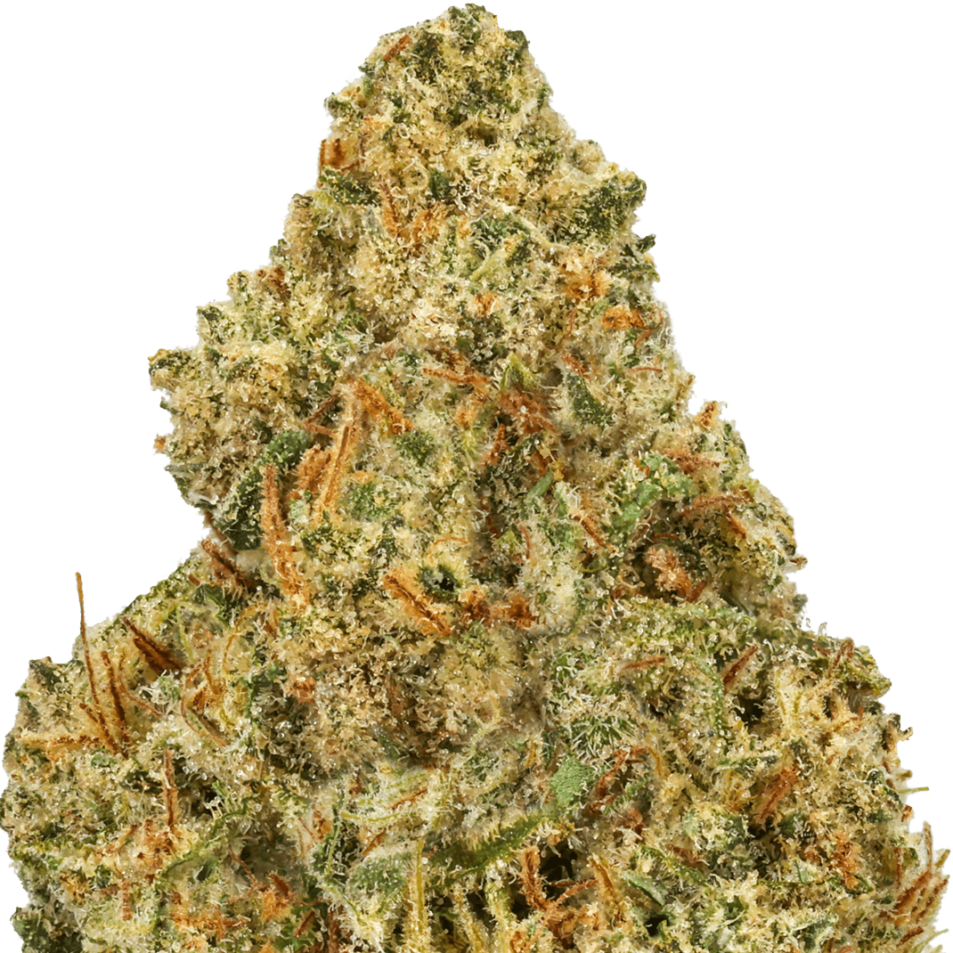 Jager Strain