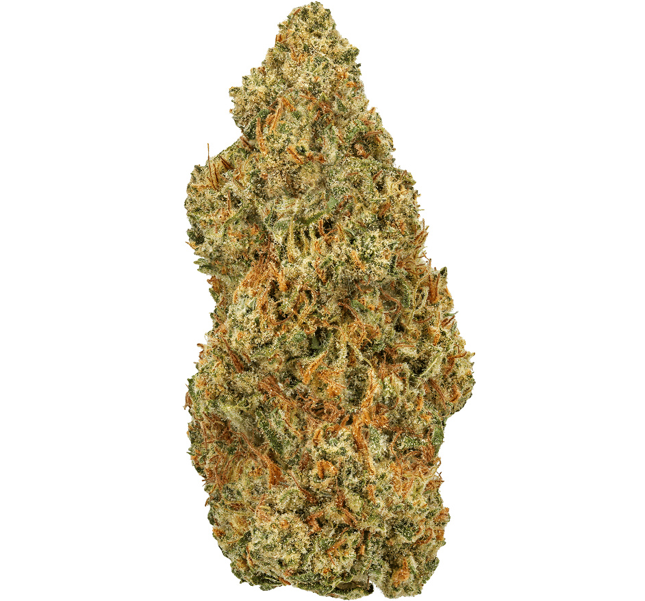 Jager Strain