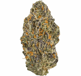 Jelly Roll Strain Jelly Roll Strain