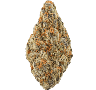 Kept Secret Strain
