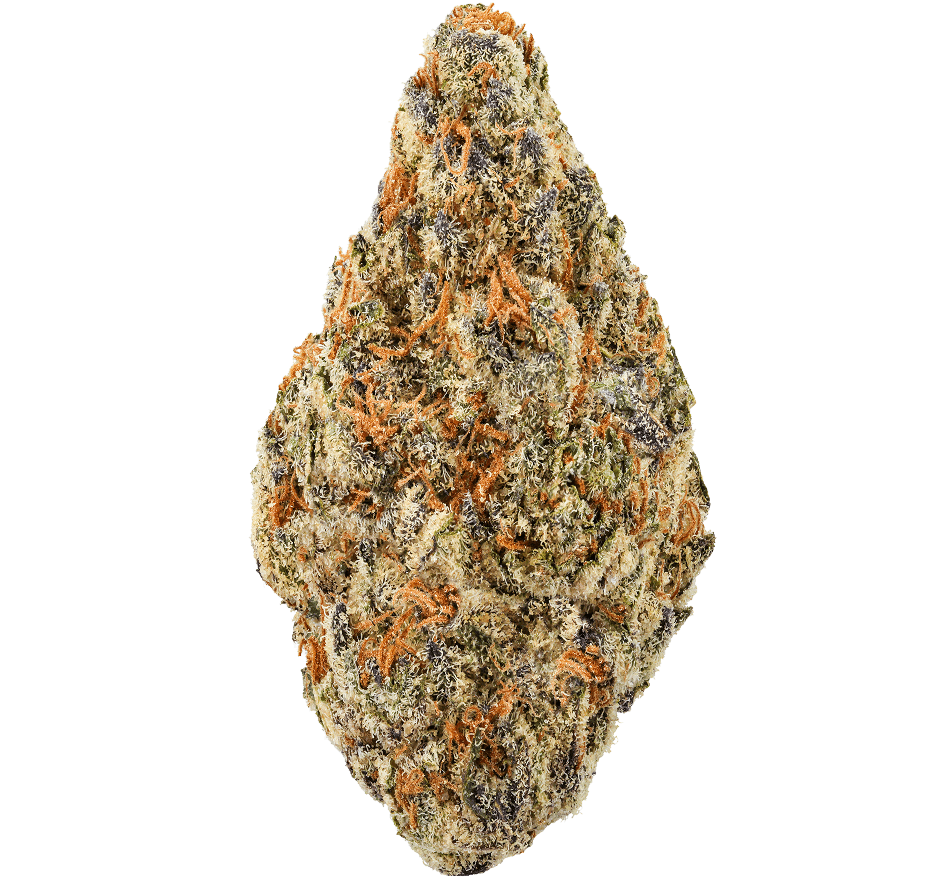 Kept Secret Strain