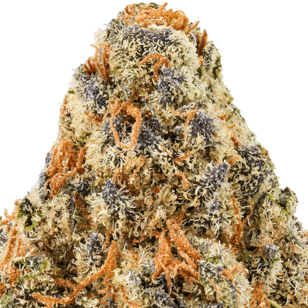 Kept Secret Strain