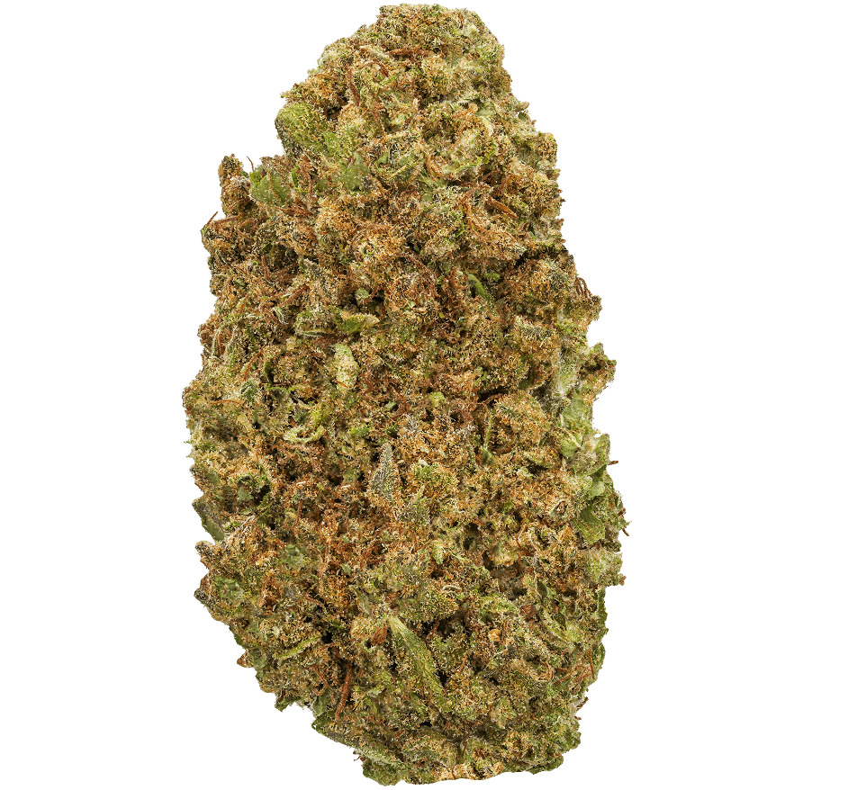 Koffee Strain