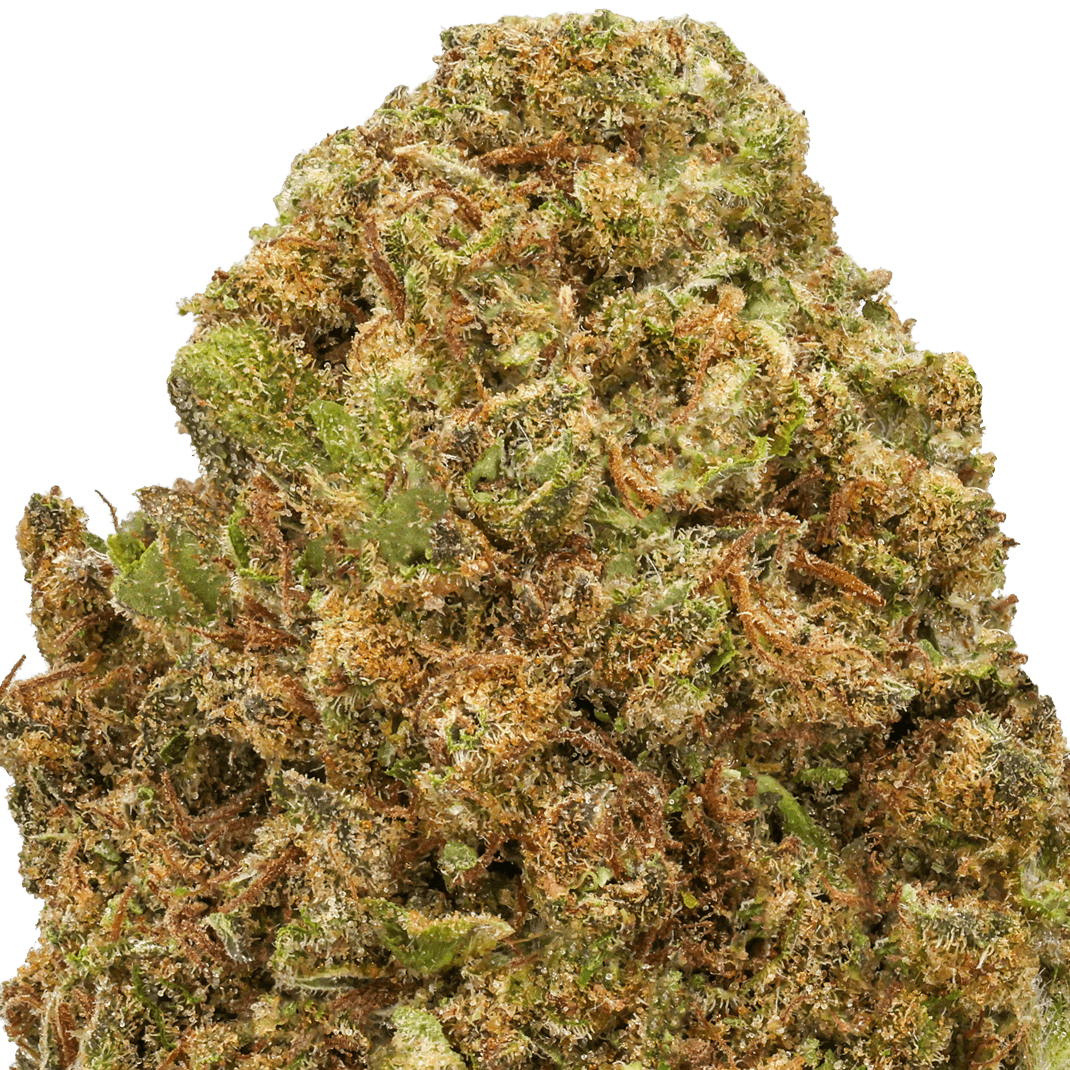 Koffee Strain
