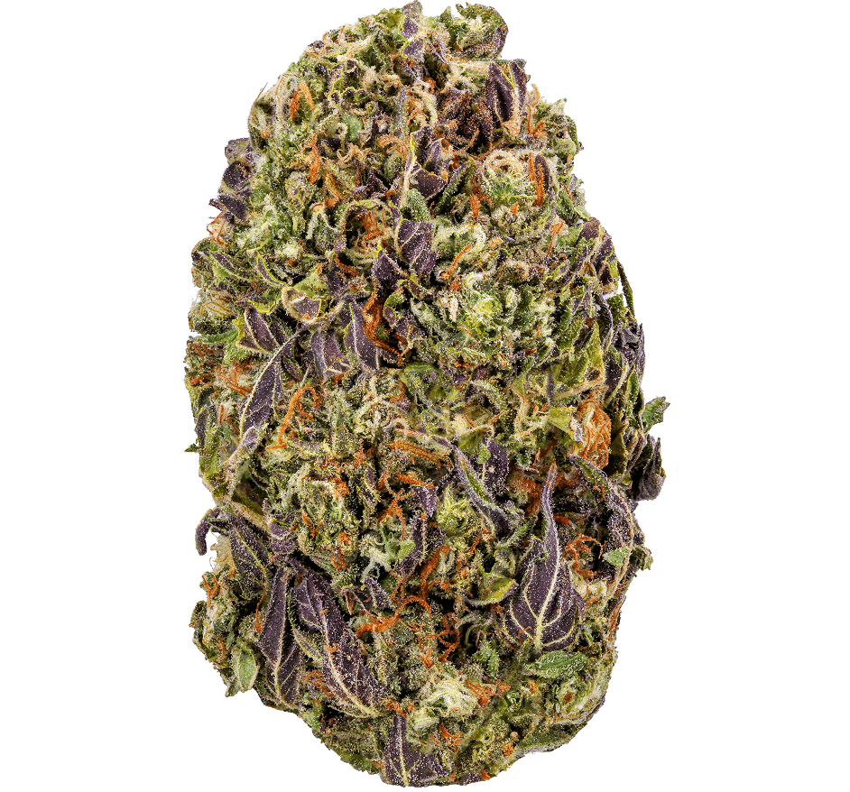 Lemon Fuel Strain