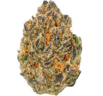 Meat Breath Strain