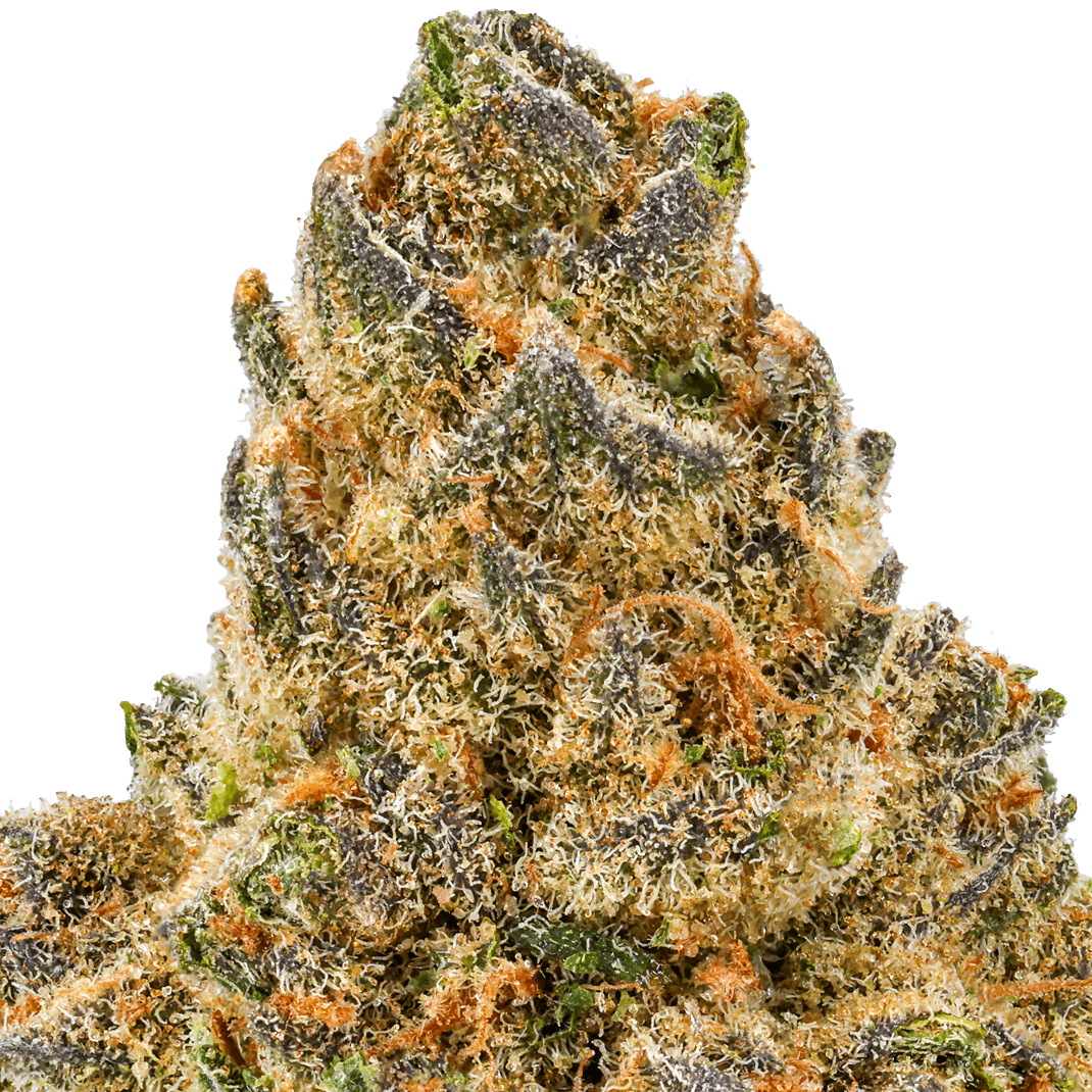 Melon Baller Strain