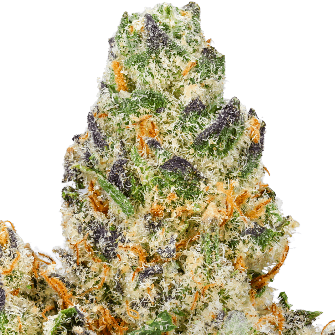 Modified-Grape-Strain-Macro Modified Grapes Strain