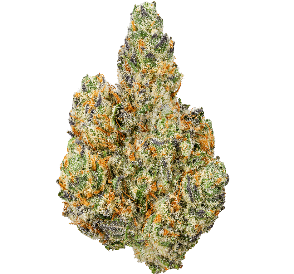 Modified-Grape-Strain Modified Grapes Strain