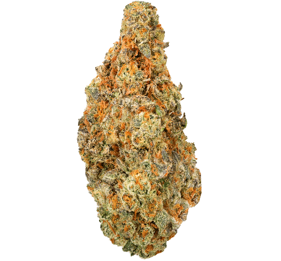Oreo-Blizzard-Strain (1) Oreo Blizzard Strain
