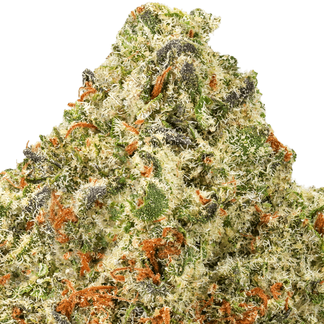 Oreoz Strain