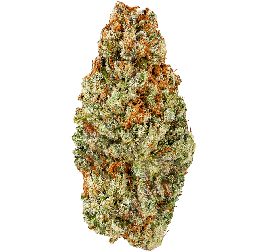 Pink Kush Strain