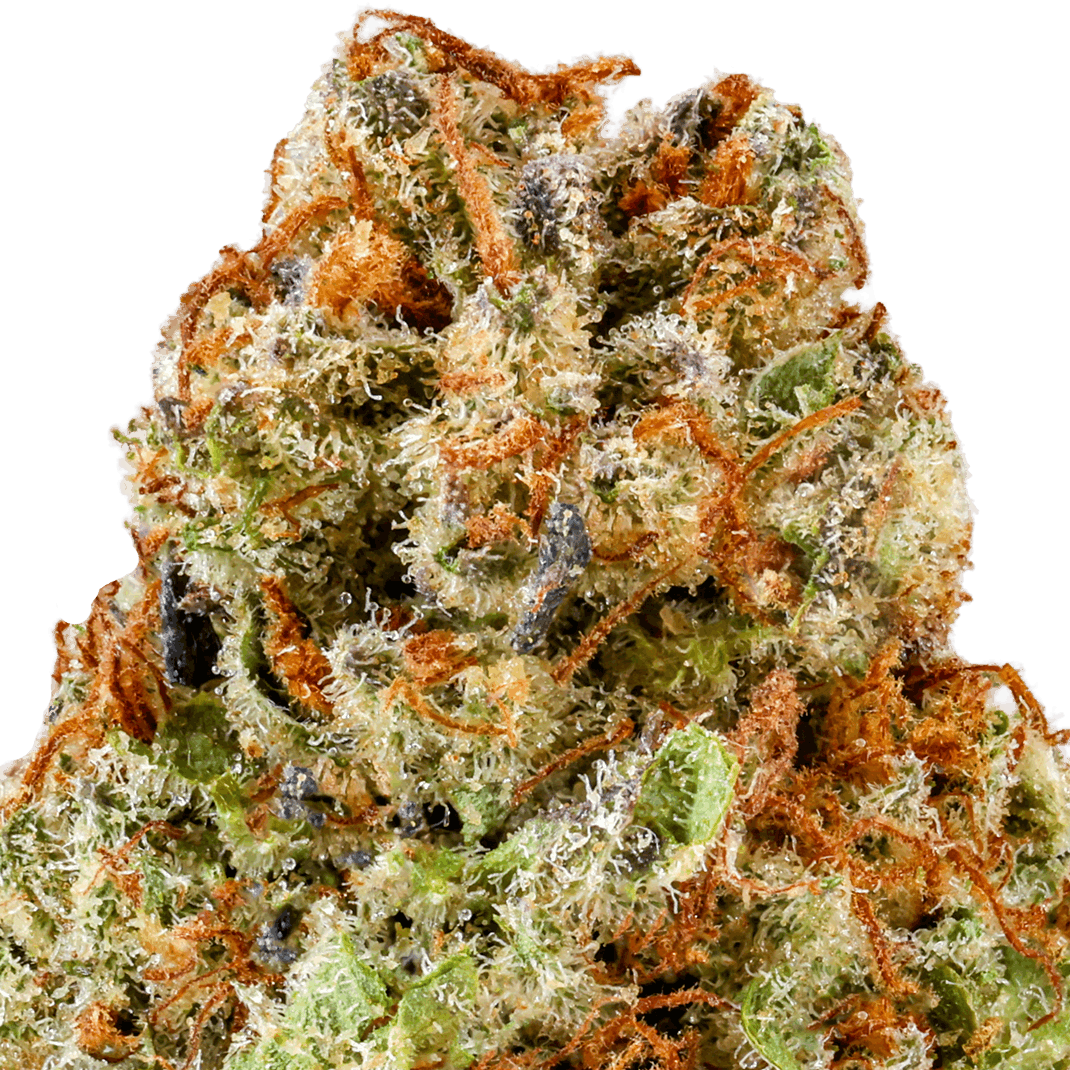 Pink Kush Strain