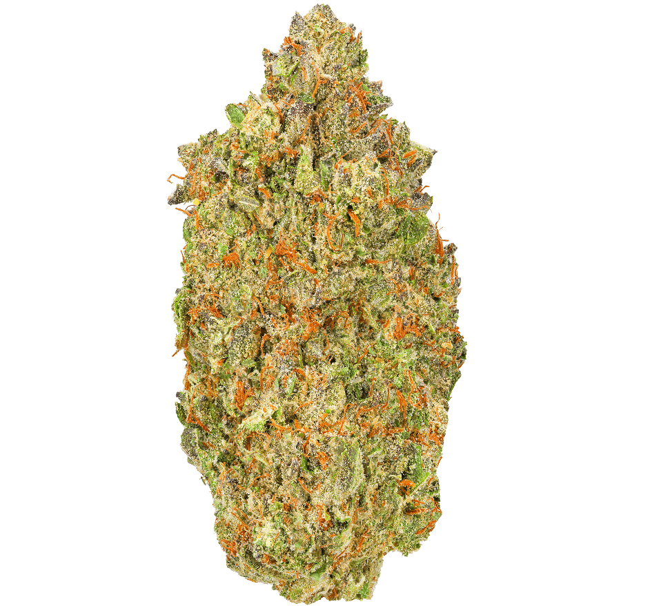 Super-Boof-Strain (1) Super Boof Strain