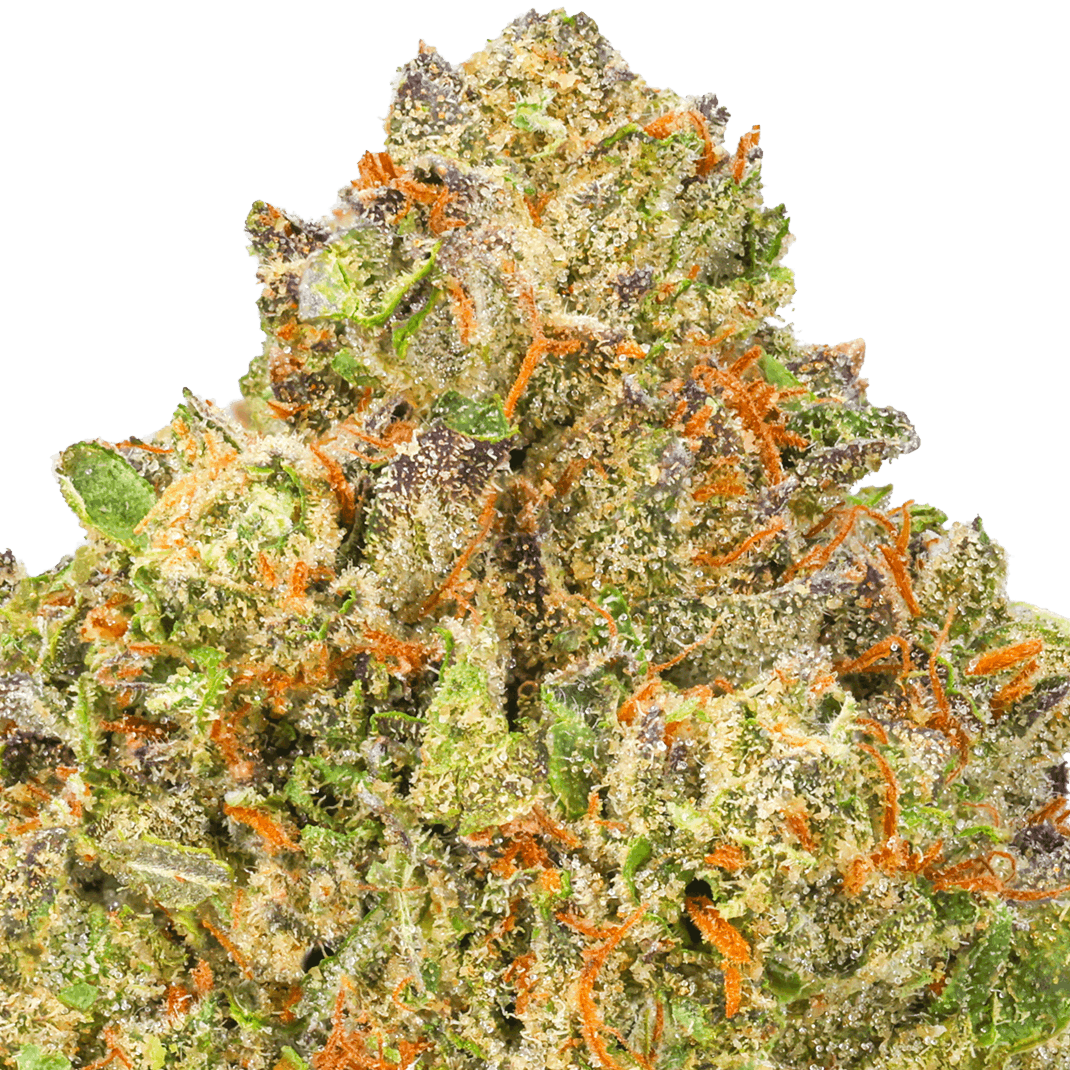 Super-Boof-Strain-Macro (1) Super Boof Strain