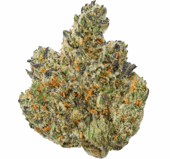 Tangie Strain